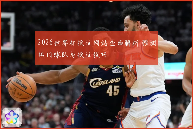 2026世界杯投注网站全面解析 预测热门球队与投注技巧