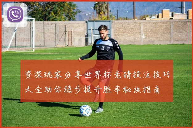 资深玩家分享世界杯竞猜投注技巧大全助你稳步提升胜率秘诀指南
