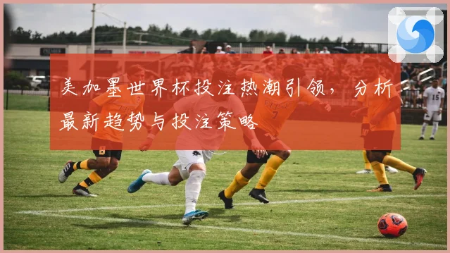 美加墨世界杯投注热潮引领，分析最新趋势与投注策略
