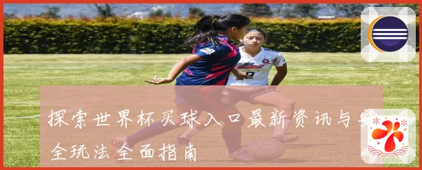 探索世界杯买球入口最新资讯与安全玩法全面指南